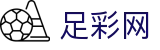 世界杯竞彩下注软件正规版本推荐 - 中国足彩网